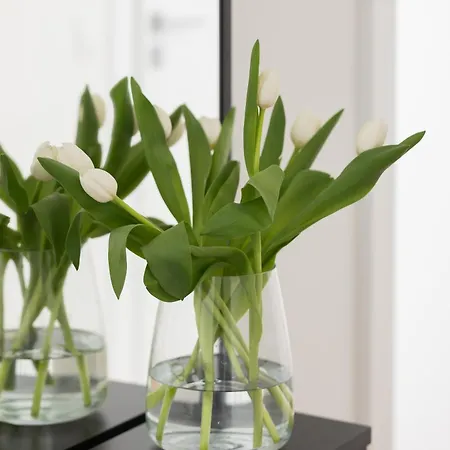 Stylish With Air Conditioning And Parking Near The Airport By Renters Prestige